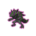 Exotic Zoroark